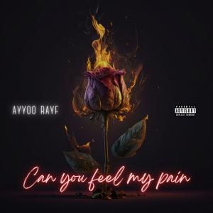 收聽Ayyoo Rayf的CYFMP (feat. LuKy & Jamal Hart) (Explicit)歌詞歌曲