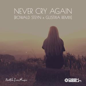 อัลบัม Never Cry Again (Rowald Steyn & Gustixa Remix) ศิลปิน Dash Berlin