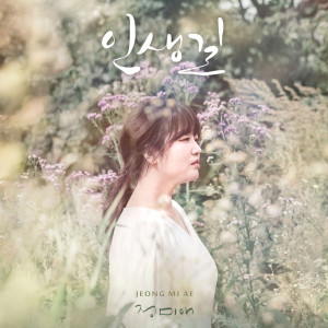 Listen to 인생길 song with lyrics from 정미애