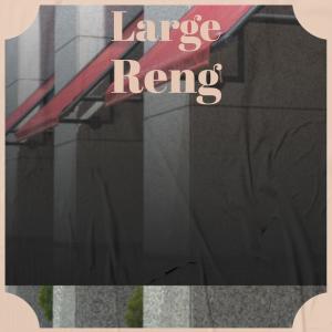 Various的专辑Large Reng