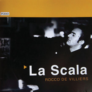 收聽Rocco De Villiers的Le Vais Le Voir歌詞歌曲