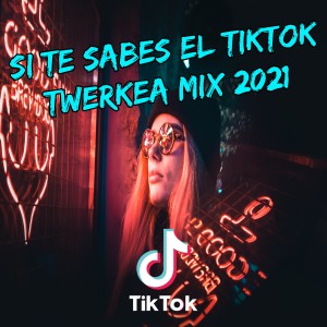 收聽Dj TikTok Viral的Si Te Sabes El TikTok Twerkea Mix 2021歌詞歌曲