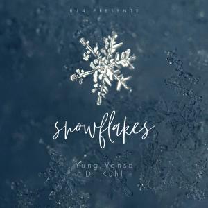 收聽Vanse的snowflakes (feat. D. Kuhl)歌詞歌曲