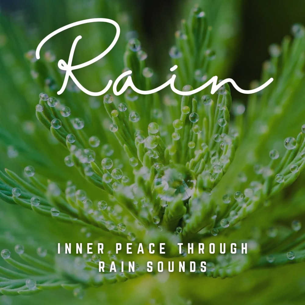 Zen Garden Rain Harmony