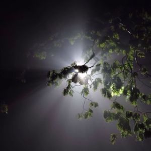 收听rN4的конец?歌词歌曲