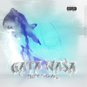 ดาวน์โหลดและฟังเพลง Gata Wasa (Explicit) พร้อมเนื้อเพลงจาก Bby Sowl