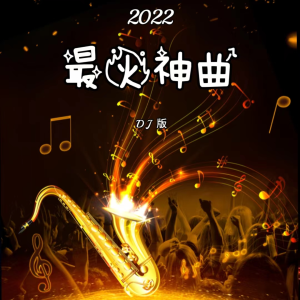 อัลบัม 2022年 最火神曲DJ版 ศิลปิน 星辞99