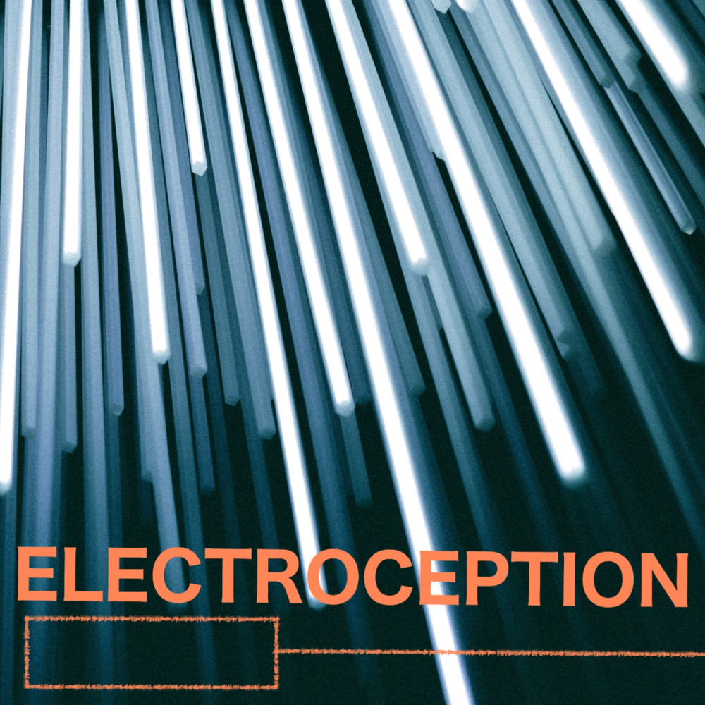 Electroception