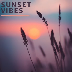 Album Sunset Vibes from Various Artists
