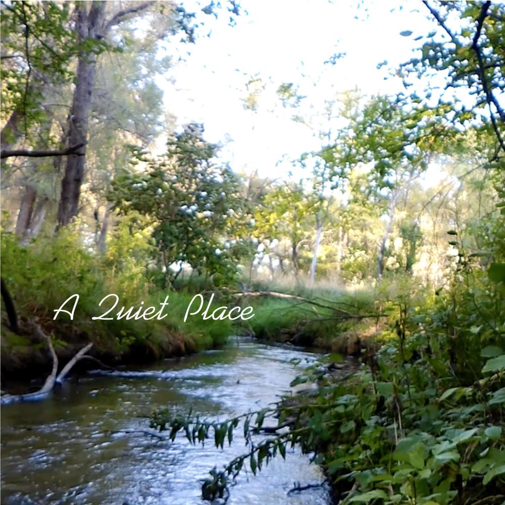 A Quiet Place