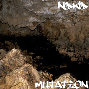 收聽NDVD的Mutation歌詞歌曲