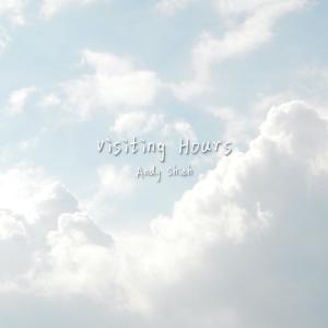 Listen to Visiting Hours song with lyrics from Andy Shieh