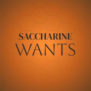 Saccharine Wants dari Various