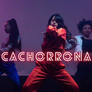 Dengarkan Cachorrona (Remix) lagu dari VITÃO BEATS dengan lirik