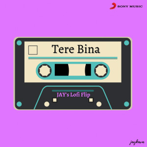 Album Tere Bina (Lofi Flip) from Jay Kava