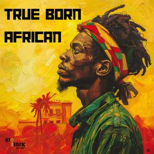 อัลบัม True Born African (feat. Winston Jarrett) ศิลปิน Winston Jarrett