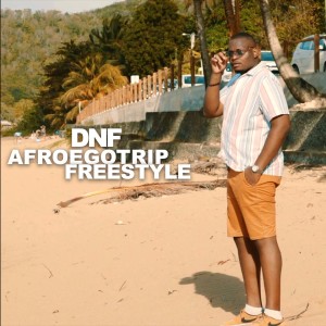 Album Afro Egotrip (Freestyle) from 