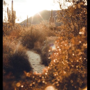 收听Relaxation Sleep Meditation的Good Vibrations歌词歌曲
