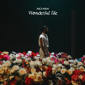Adam的專輯Wonderful life