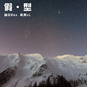 Listen to 假·型 song with lyrics from 李福银xL