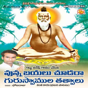 ดาวน์โหลดและฟังเพลง Vunna Bayalu Chudara พร้อมเนื้อเพลงจาก Gattu Naresh