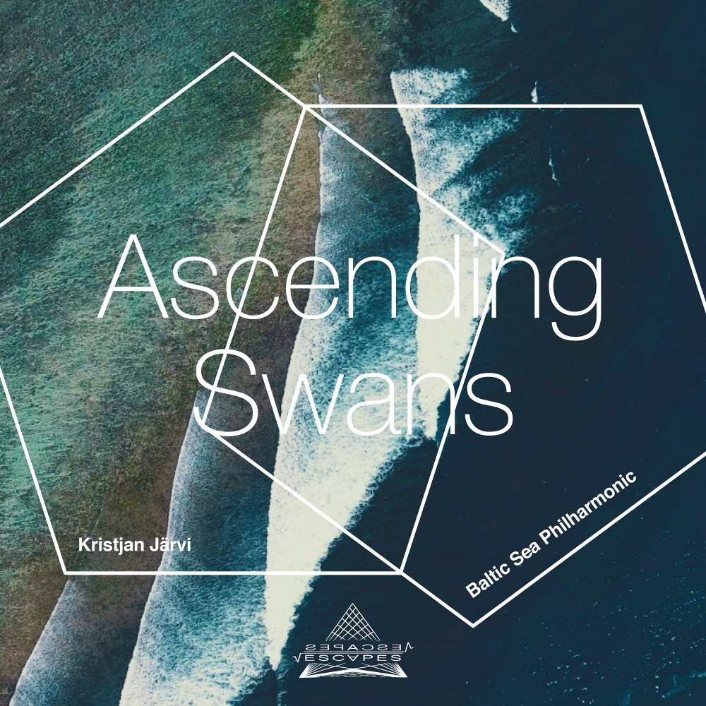 Ascending Swans