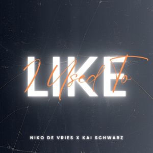 Niko De Vries的专辑Like I Used To