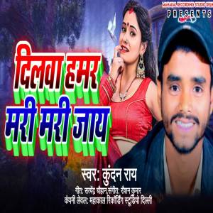 ดาวน์โหลดและฟังเพลง Dilwa Hamar Mori Mori Jaaye พร้อมเนื้อเพลงจาก Kundan Roy