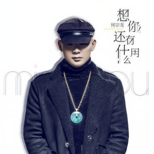 Listen to 用什么方法可以忘记你（DJ版） (其他) song with lyrics from 何宗龙