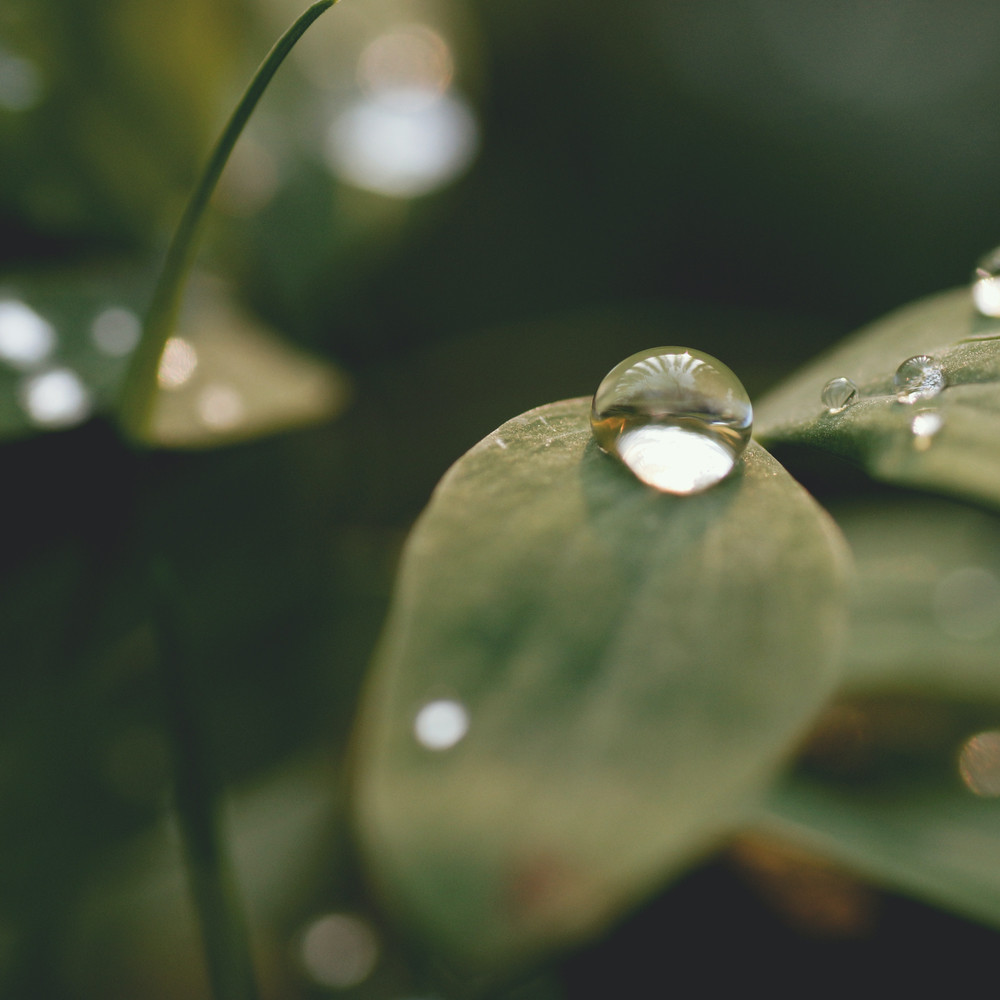 Liquid Notes