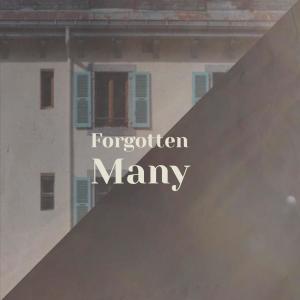 收聽Walon Goyo的Forgotten Many歌詞歌曲