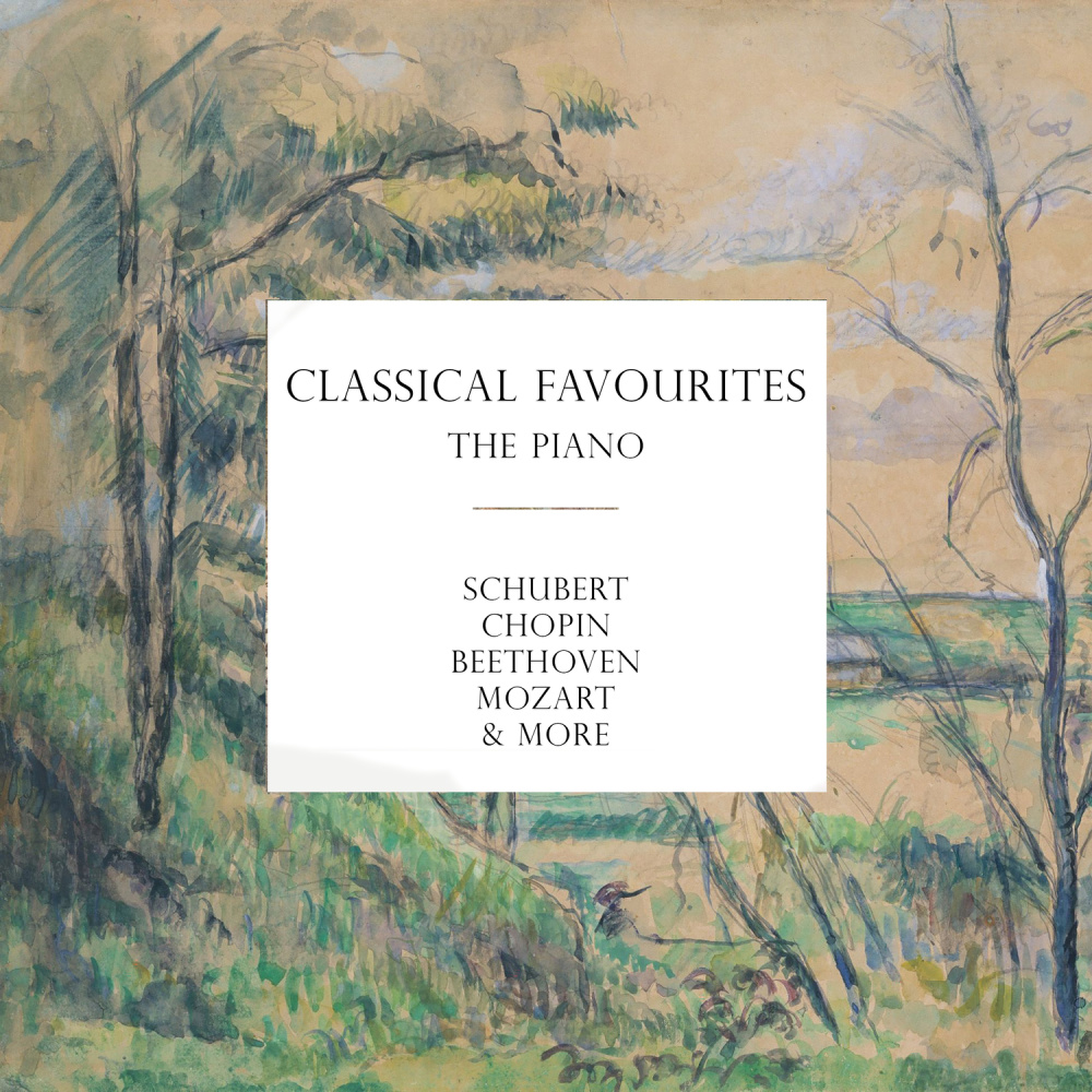 Schubert: 6 Moments musicaux, D. 780: No. 5, Allegro vivace