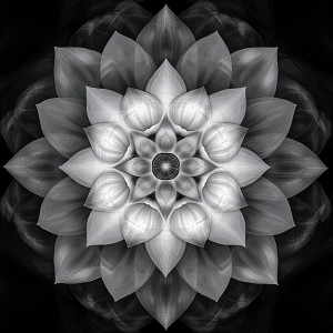 收聽Miracle Waves的Subconscious Release Meditation with Theta Waves歌詞歌曲