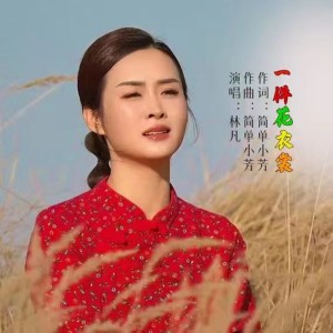 Album 一件花衣裳(女版) from 林凡（LinFan）