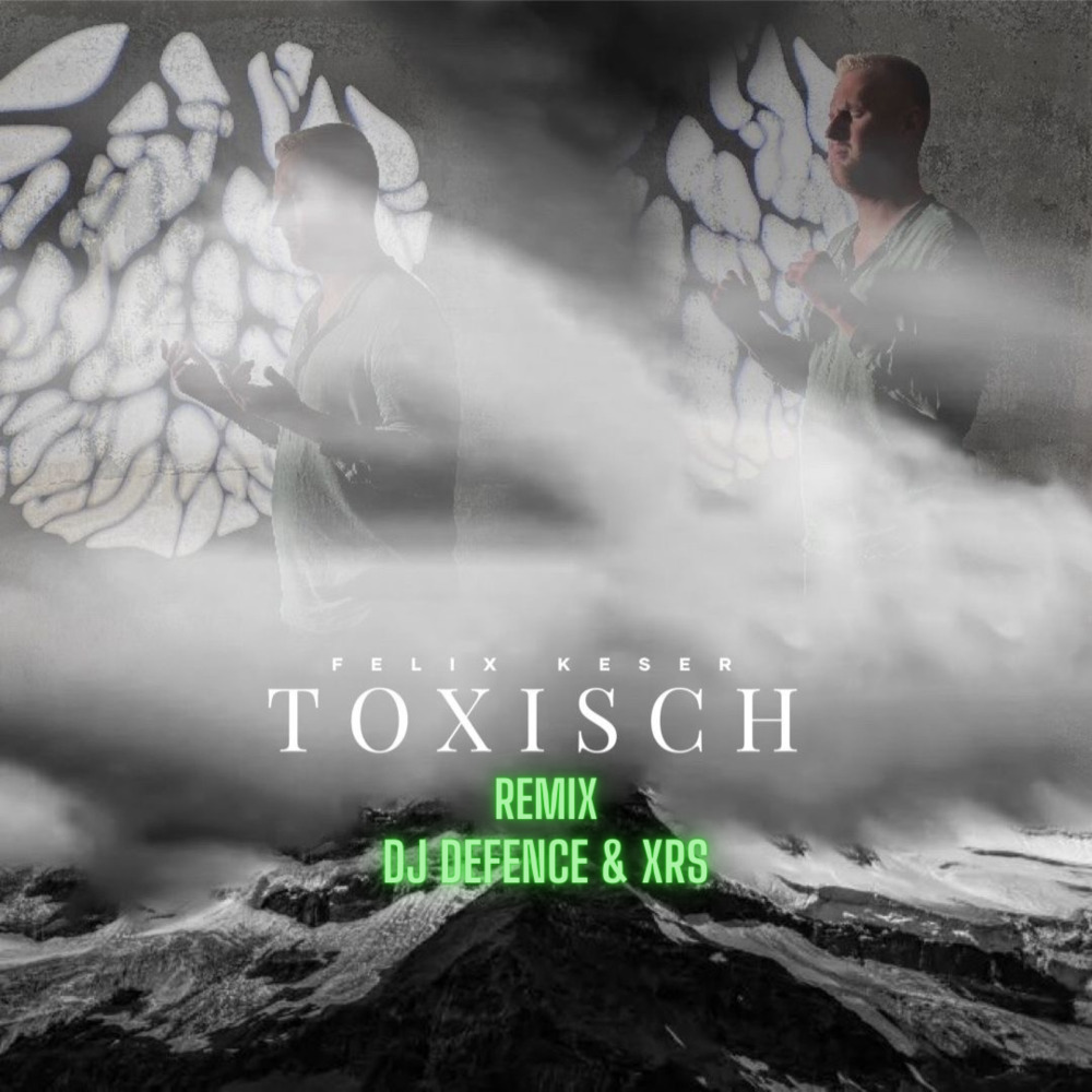 Toxisch (Remix|Explicit)