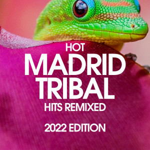 Dengarkan Tales From Rio (Tribal Mix) lagu dari SAINT MARTIN dengan lirik