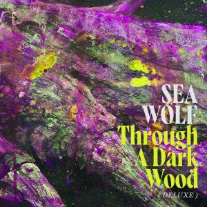 อัลบัม Through A Dark Wood (Deluxe) ศิลปิน Sea Wolf