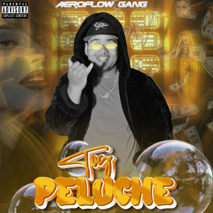 收聽Aero Flow Gang的Toy Peluche (Explicit)歌詞歌曲