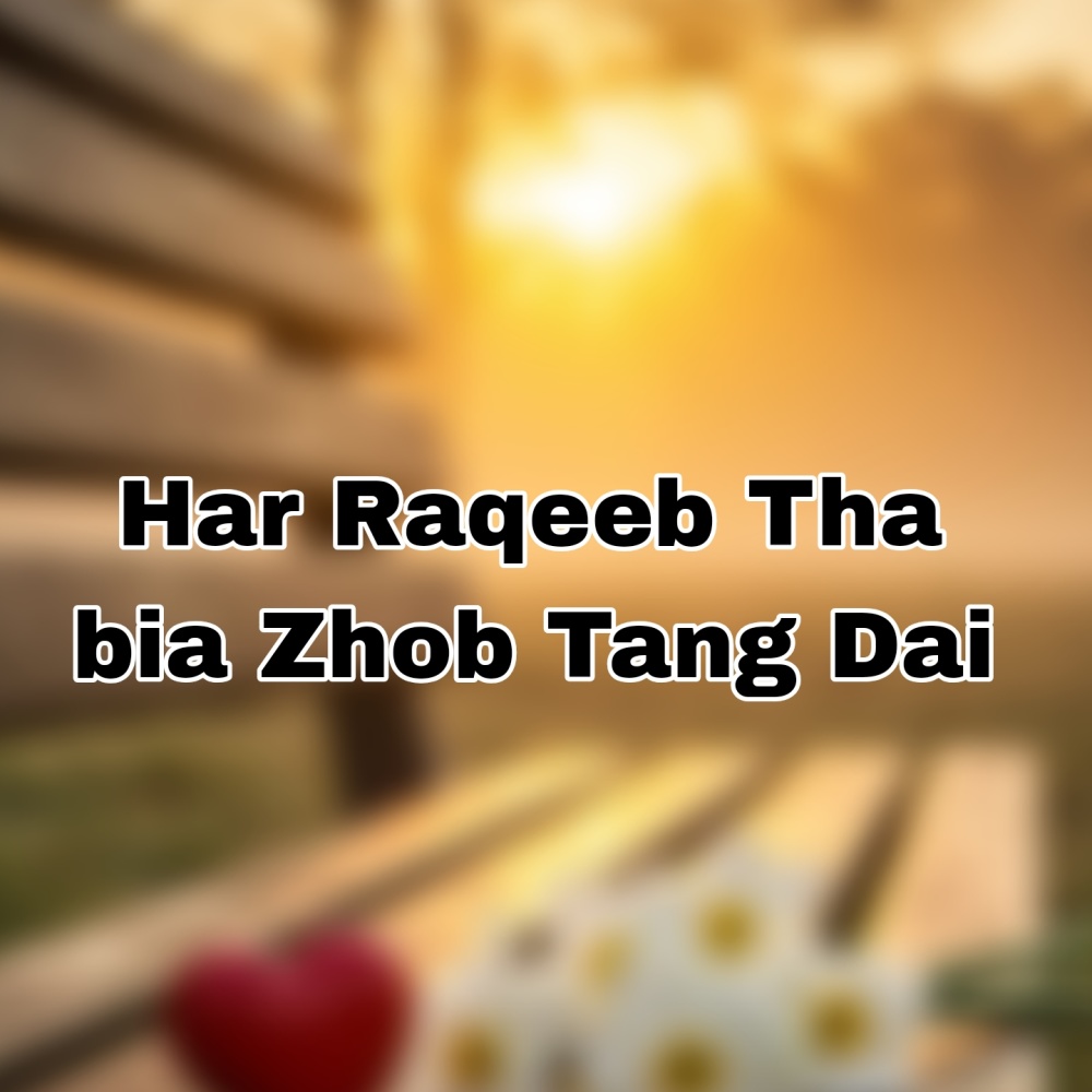 Zoi Da Pa Nakhro Aksta