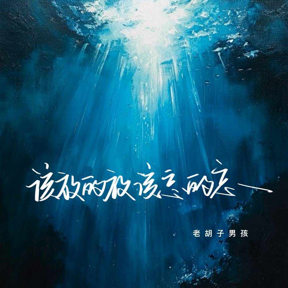 该放的放该忘的忘 (伴奏)