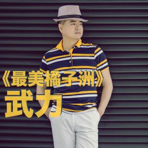 收聽武力的最美橘子洲歌詞歌曲