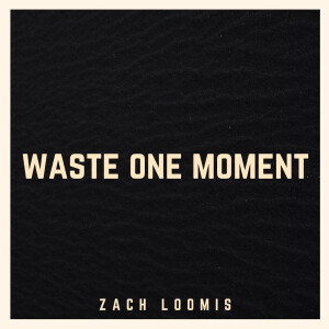 Zach Loomis的专辑Waste One Moment