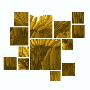 Xique-Xique的專輯Siriema (Mira & Christopher Schwarzwälder Remix)