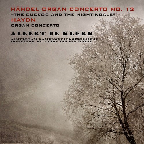 Concerto for Organ and Orchestra in C Major, Hob. XVIII:10: II. Largo