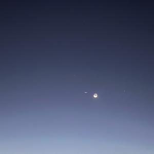 收聽Monotone Cube的Subterranean歌詞歌曲