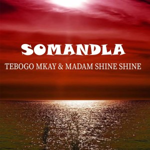 Listen to Somandla song with lyrics from Tebogo Mkay