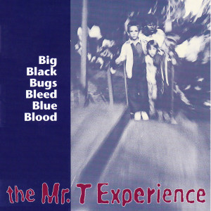 收聽The Mr. T Experience的On the Team歌詞歌曲