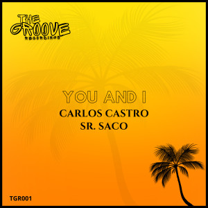 收聽Carlos Castro的You And I (Radio Edit)歌詞歌曲