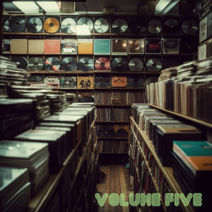 Album Crate Diggers, Vol. 5: Stone Cold Rare Beats & Vinyl Oddities 1965-1978 from Various