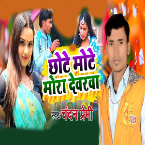 Album Chhote Mote Mora Devrwa from 